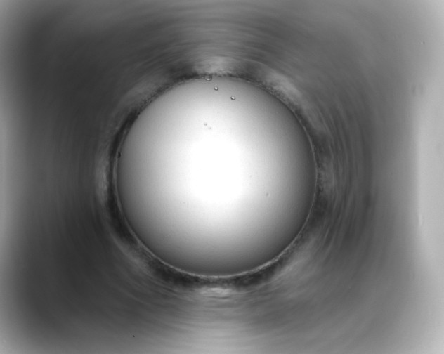 X0000088410586200706051155