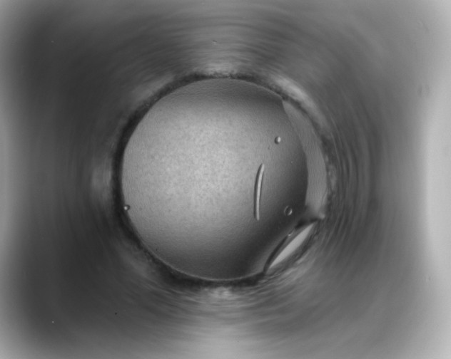 X0000088410588200706051155