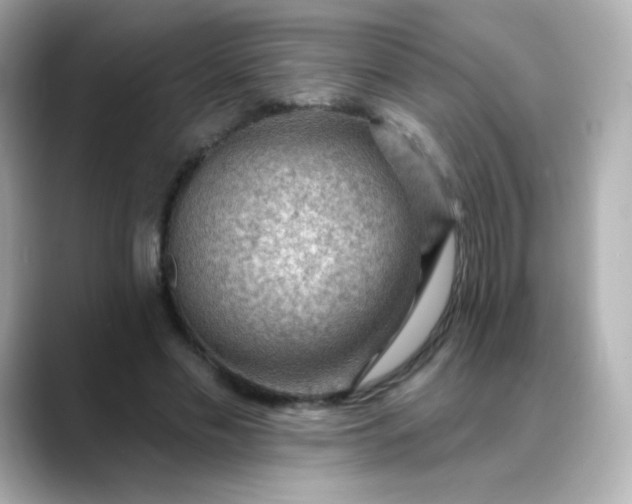 X0000088410589200706051155