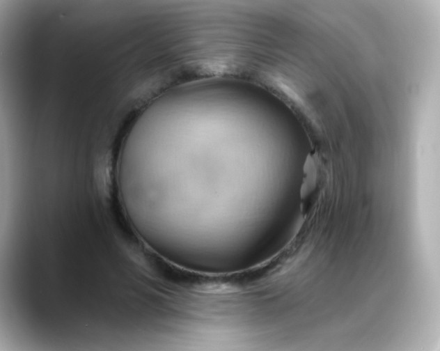 X0000088410590200706051155