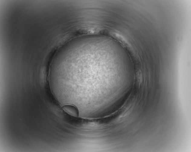 X0000088410594200706051155