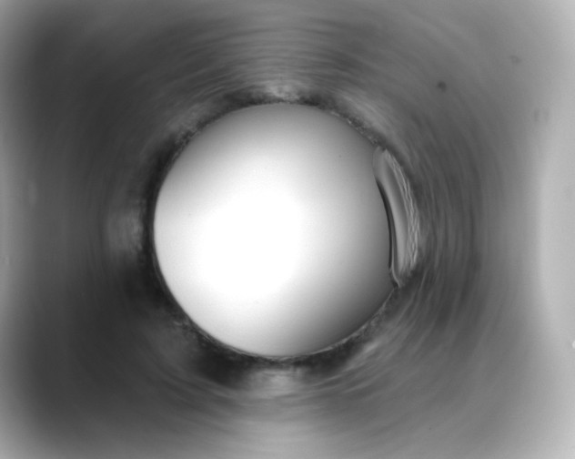 X0000088410595200706051155