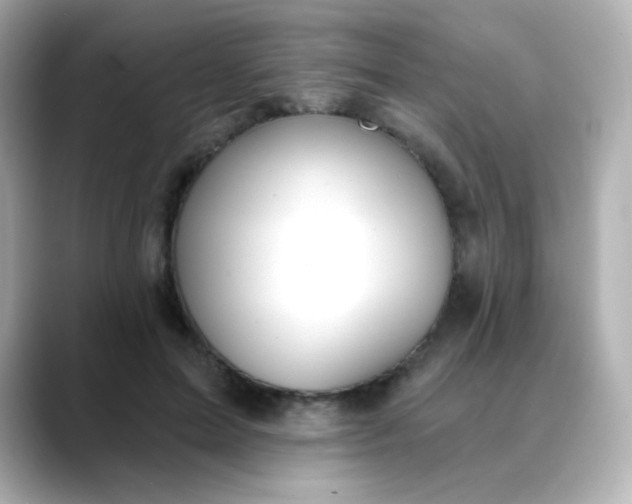 X0000088410599200706051155