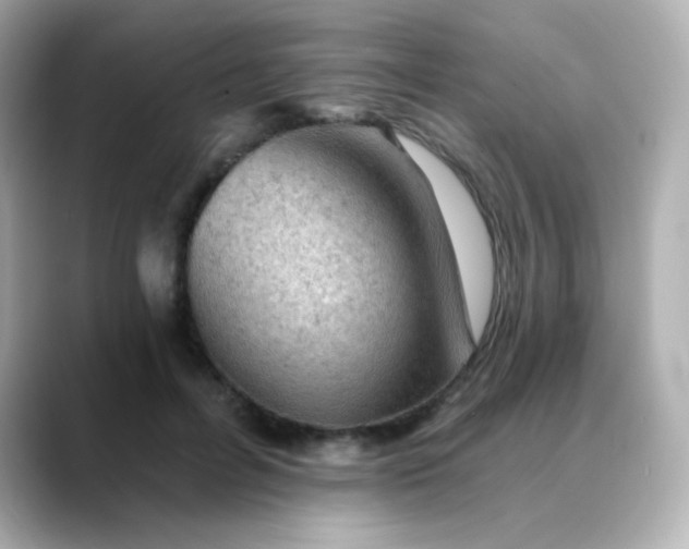 X0000088410600200706051155