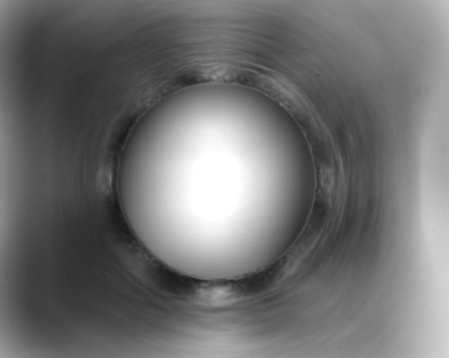 X0000088410602200706051155