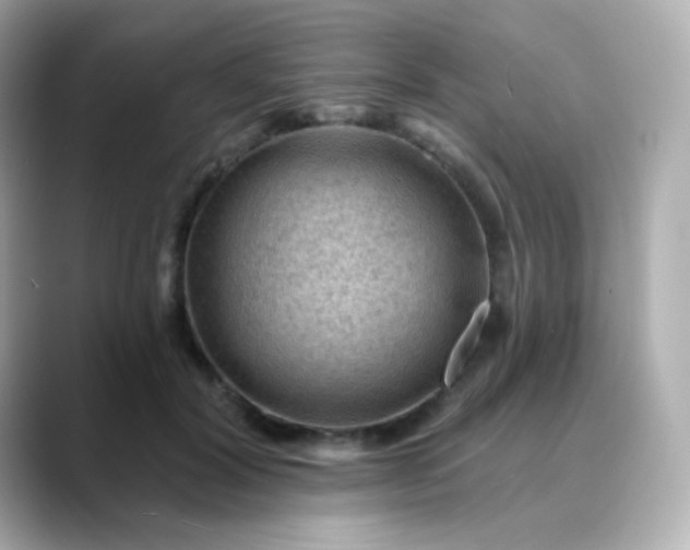 X0000088410604200706051155