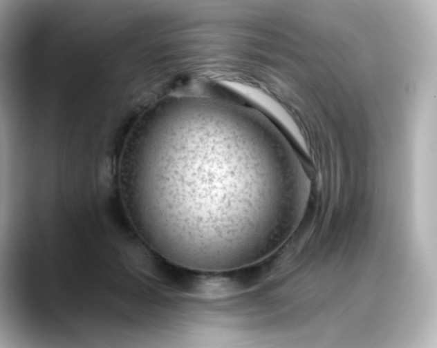 X0000088410605200706051155