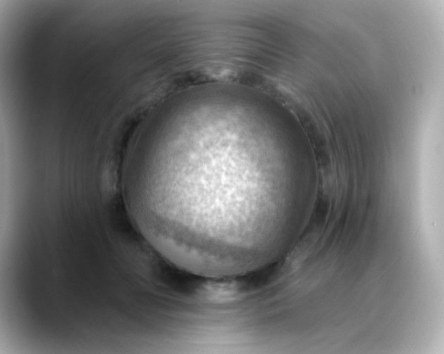 X0000088410606200706051155