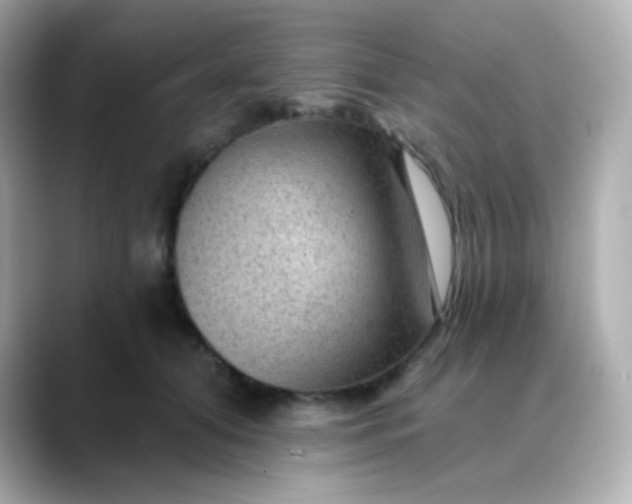 X0000088410608200706051155