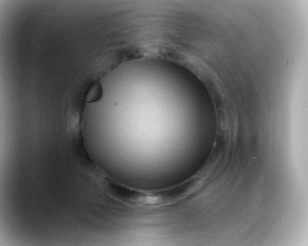 X0000088410610200706051155