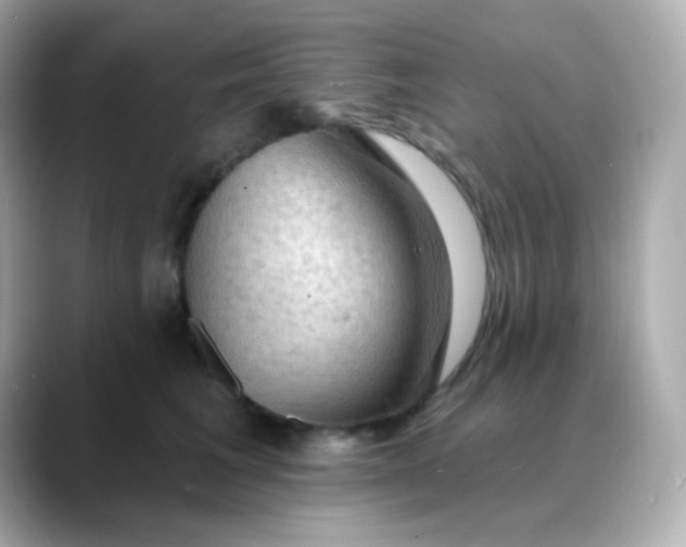 X0000088410613200706051155