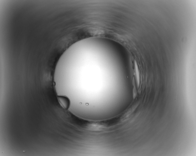 X0000088410614200706051155