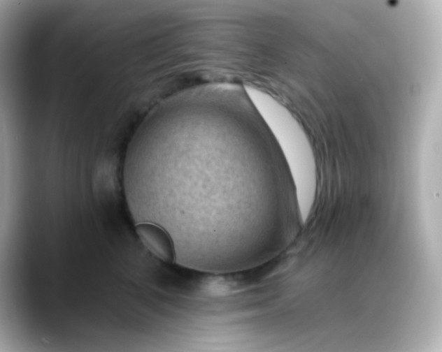 X0000088410616200706051155