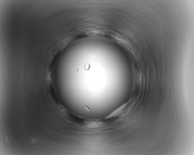 X0000088410621200706051155