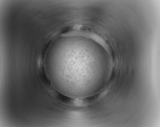 X0000088410623200706051155