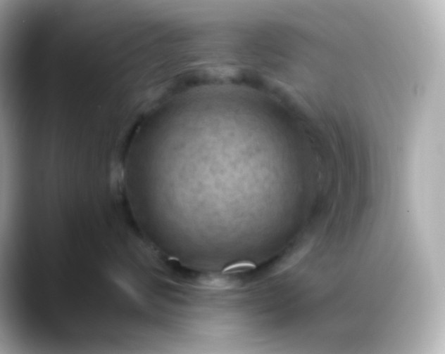 X0000088410624200706051155