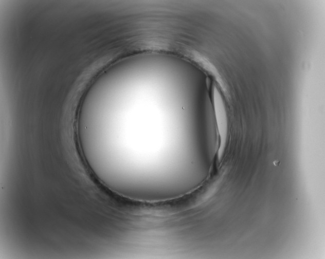 X0000088410625200706051154