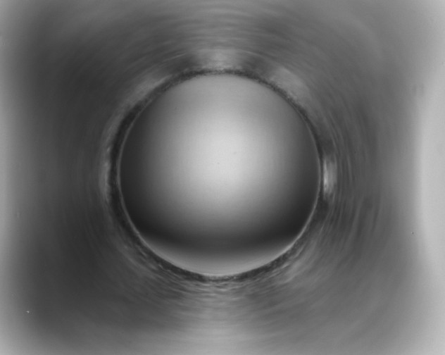 X0000088410627200706051154