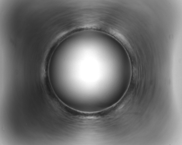 X0000088410628200706051154