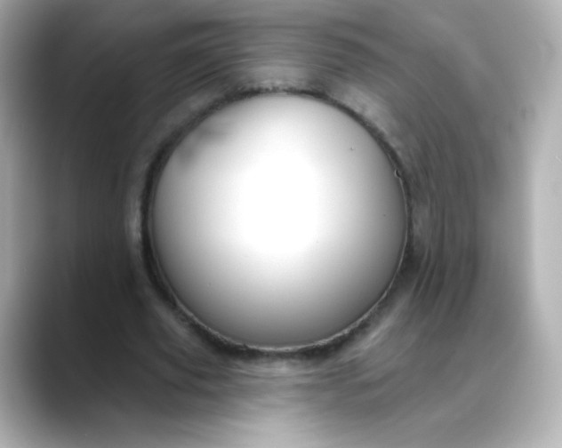 X0000088410629200706051154