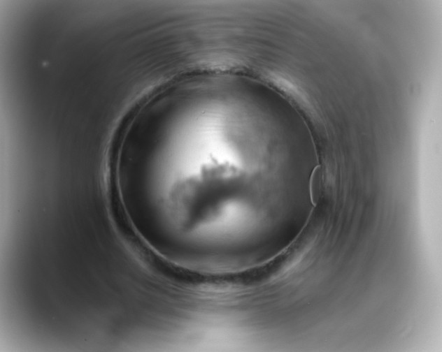 X0000088410630200706051154