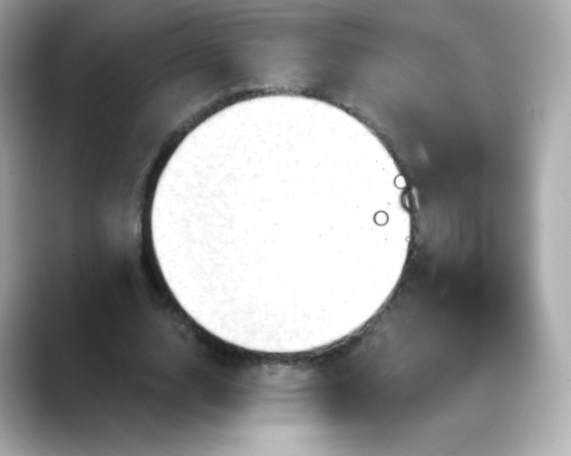 X0000088410632200706051154