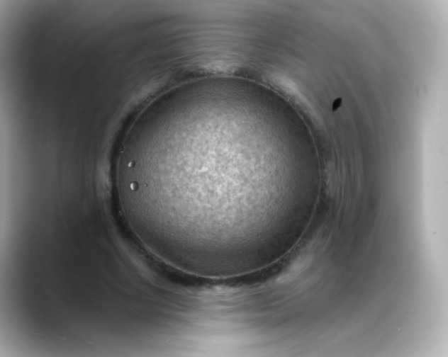 X0000088410634200706051154