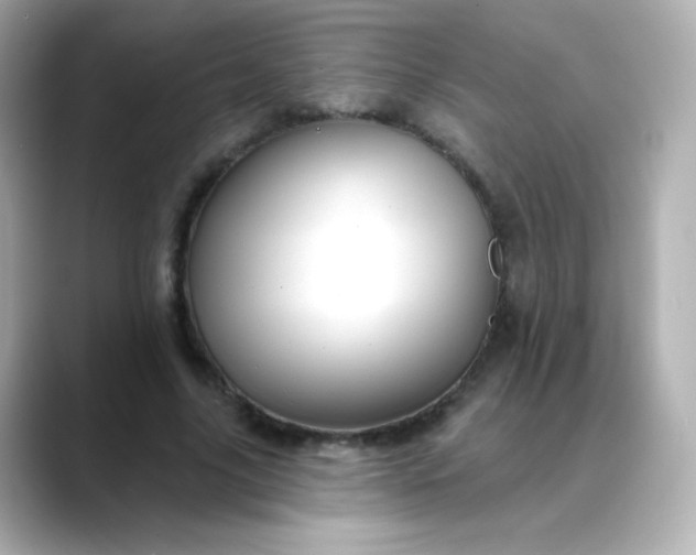 X0000088410635200706051154