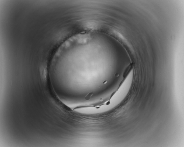 X0000088410637200706051154