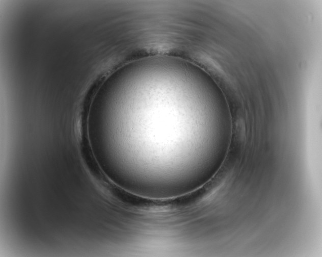 X0000088410638200706051154