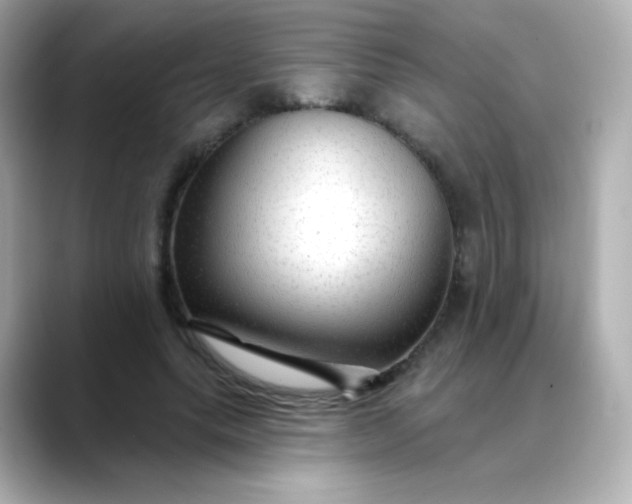 X0000088410639200706051154