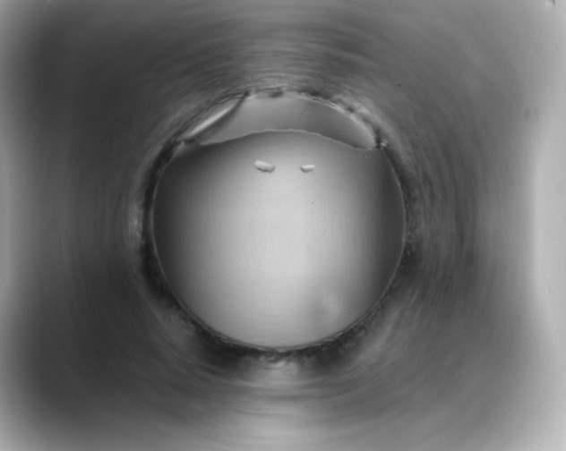 X0000088410640200706051154