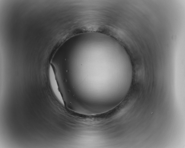 X0000088410641200706051154