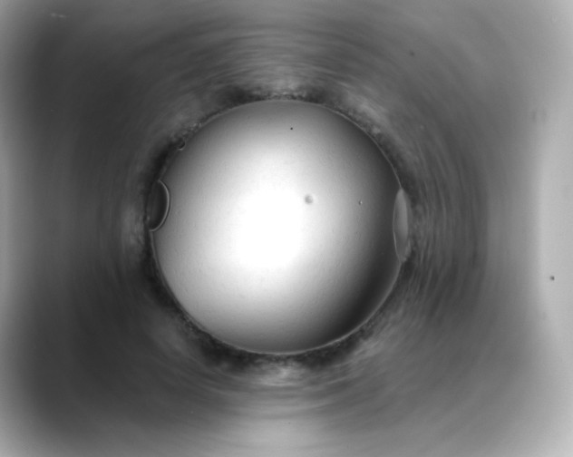 X0000088410642200706051154