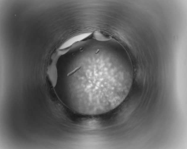 X0000088410643200706051154