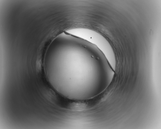 X0000088410644200706051154