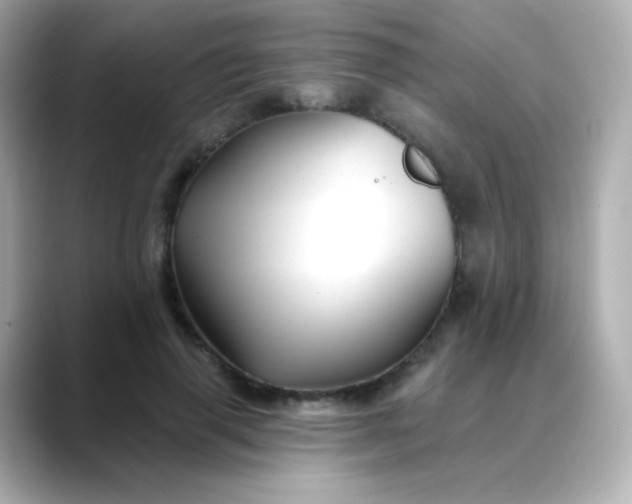 X0000088410645200706051154