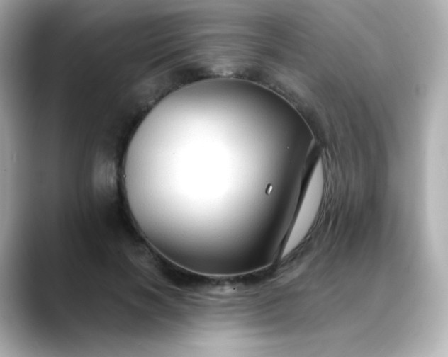 X0000088410646200706051154