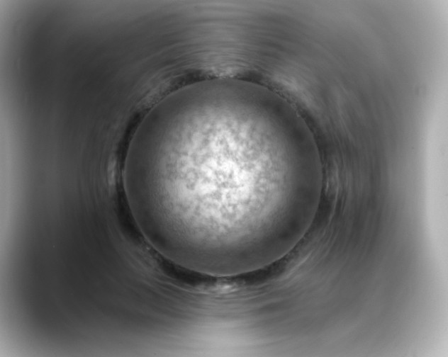 X0000088410647200706051154