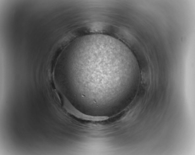 X0000088410648200706051154