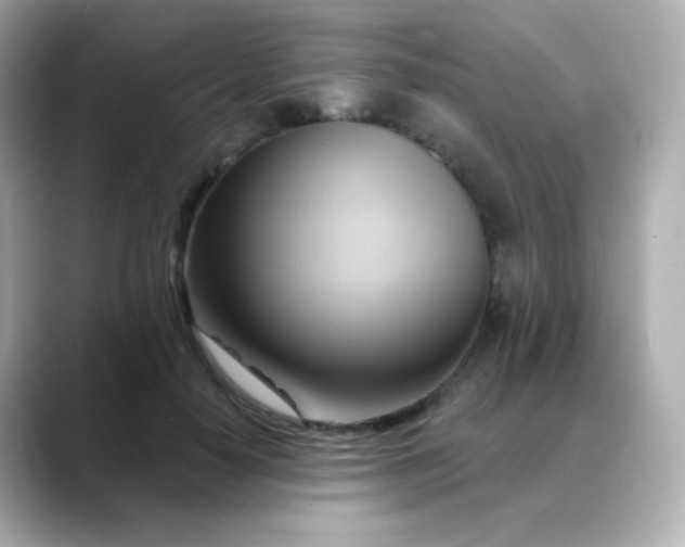 X0000088410650200706051154