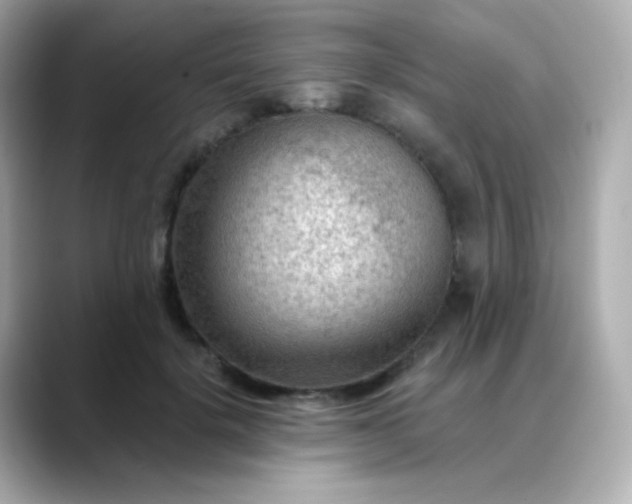 X0000088410652200706051154