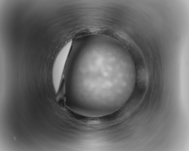 X0000088410653200706051154