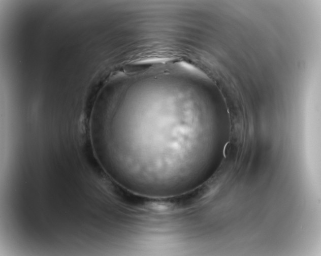 X0000088410654200706051154