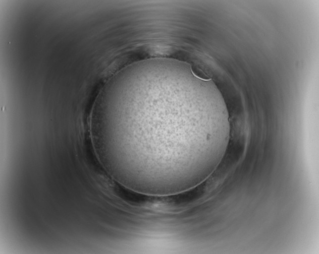 X0000088410655200706051154