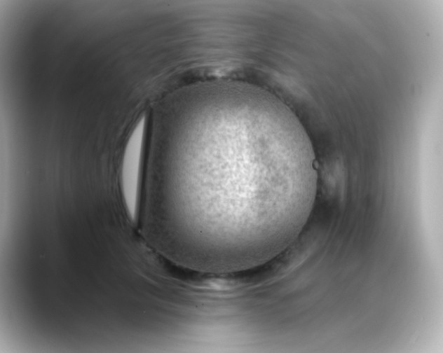 X0000088410657200706051154