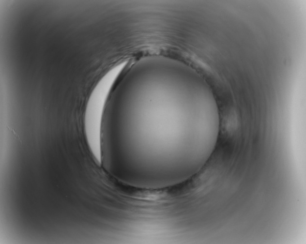 X0000088410661200706051154