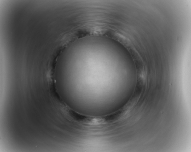 X0000088410663200706051154