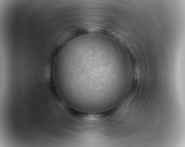 X0000088410664200706051154