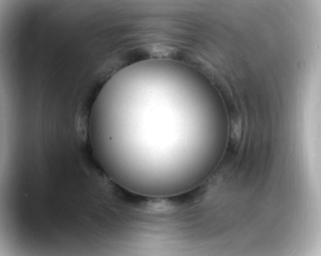 X0000088410666200706051154